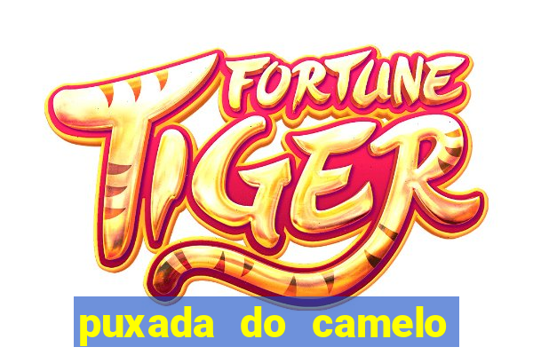 puxada do camelo jogo do bicho